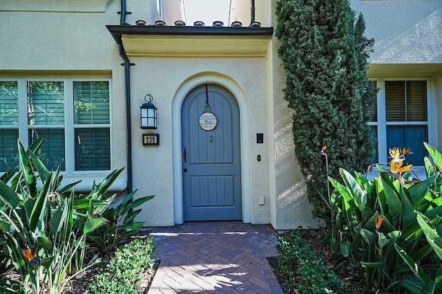 view of exterior entry featuring stucco siding