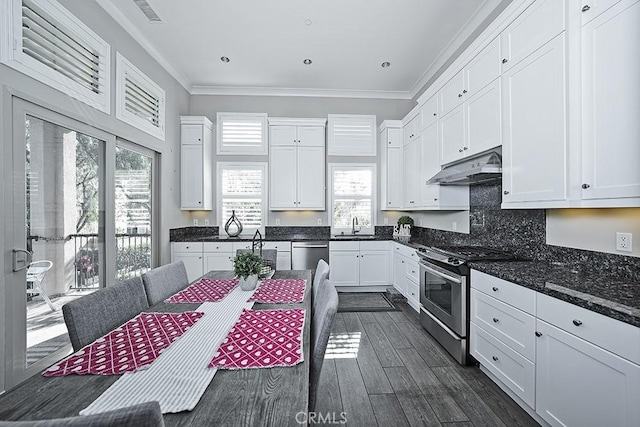 kitchen with dark wood finished floors, appliances with stainless steel finishes, ornamental molding, under cabinet range hood, and white cabinetry