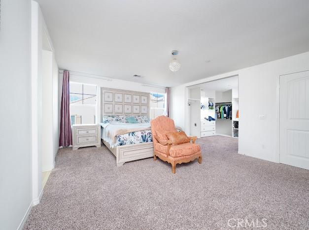 carpeted bedroom featuring a spacious closet, multiple windows, and a closet