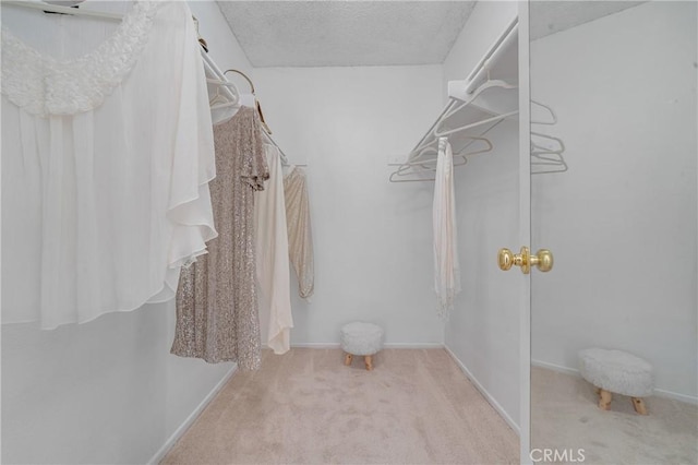 spacious closet featuring light colored carpet