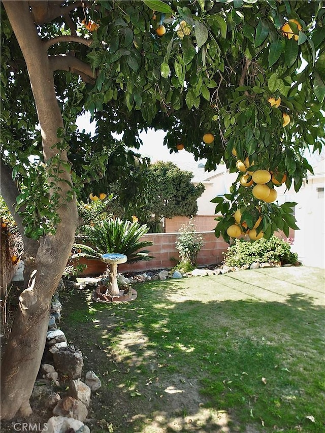 view of yard with fence