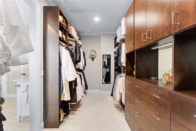 walk in closet with light carpet