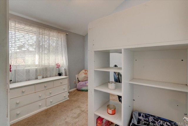 bedroom with light carpet