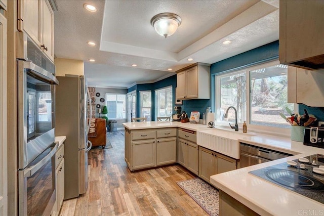 kitchen featuring stainless steel appliances, a raised ceiling, light countertops, a sink, and a peninsula