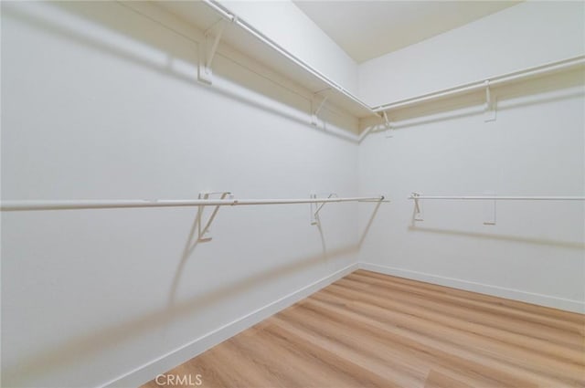 walk in closet featuring light wood-type flooring