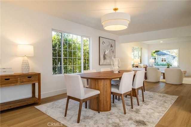 dining area featuring baseboards and wood finished floors