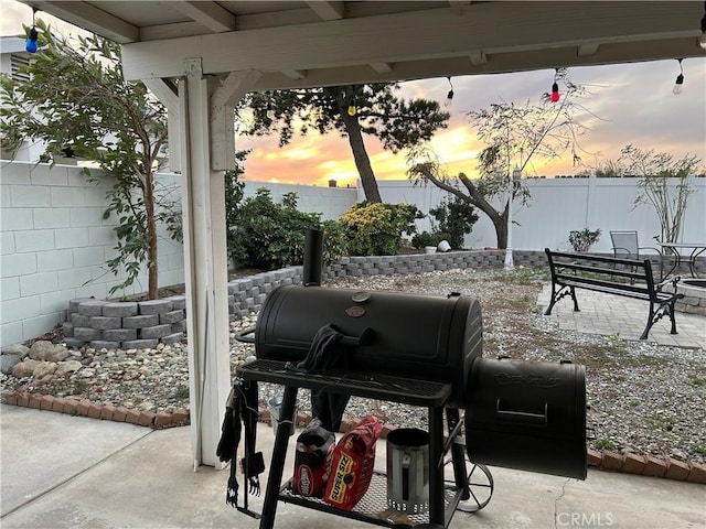 view of patio / terrace with a fenced backyard and grilling area