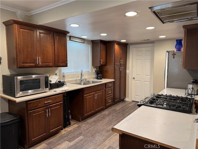 kitchen featuring dark wood finished floors, ventilation hood, crown molding, stainless steel appliances, and a sink