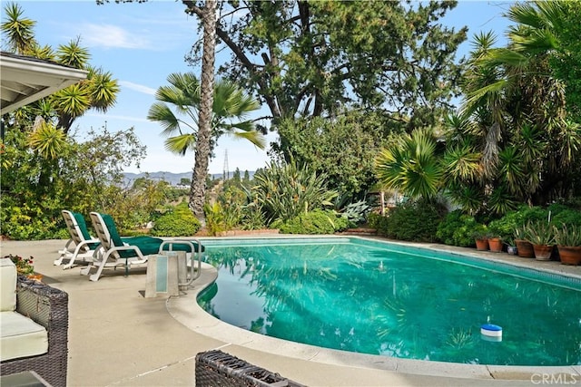 pool featuring a patio area