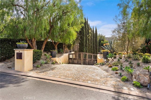 view of gate with a fenced front yard