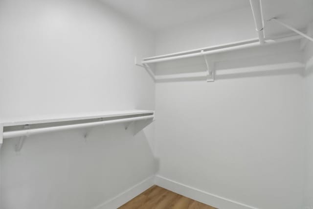 walk in closet with wood finished floors