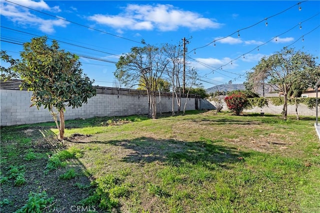 view of yard featuring a fenced backyard