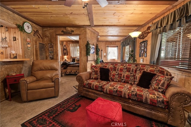 carpeted living area featuring wood walls, wood ceiling, ceiling fan, and beamed ceiling