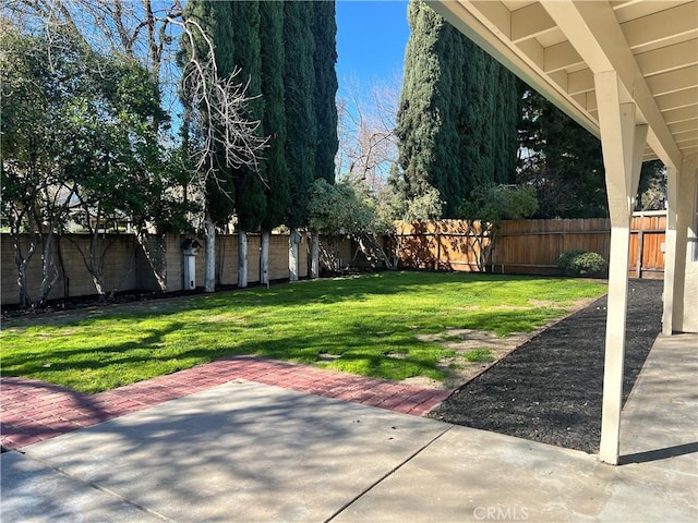 view of yard with a patio and a fenced backyard