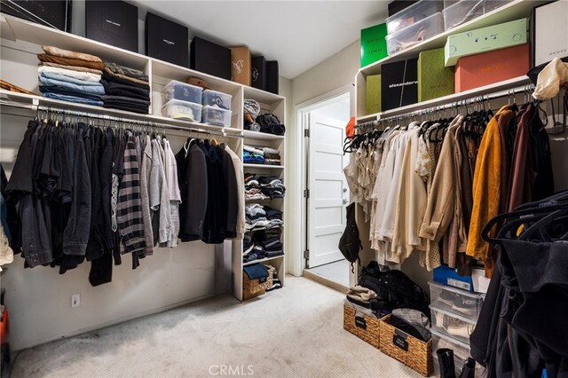 spacious closet with light colored carpet