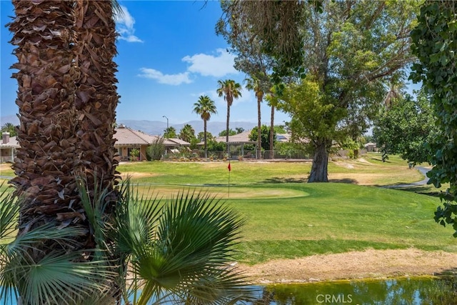 view of property's community featuring a yard