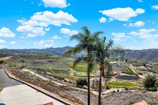 29345 Wilkes Rd, Valley Center, CA 92082 - view of mountain background