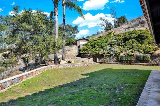 29345 Wilkes Rd, Valley Center, CA 92082 - view of green lawn