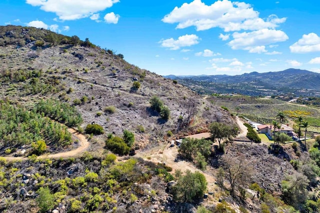 29345 Wilkes Rd, Valley Center, CA 92082 - mountain view
