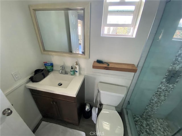 bathroom featuring toilet, a shower stall, and vanity