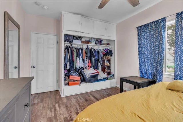 bedroom with a closet, multiple windows, ceiling fan, and wood finished floors