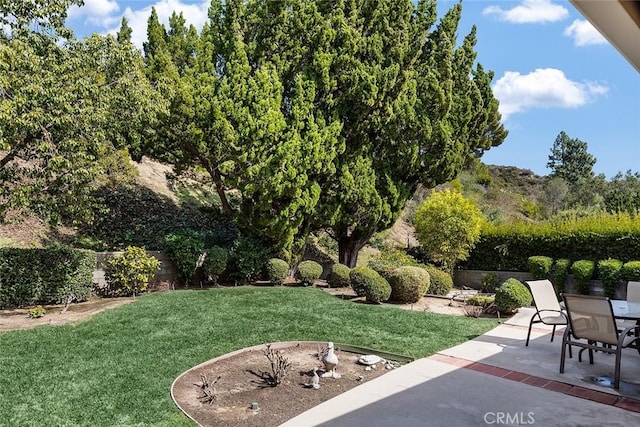 view of yard featuring a fenced backyard and a patio