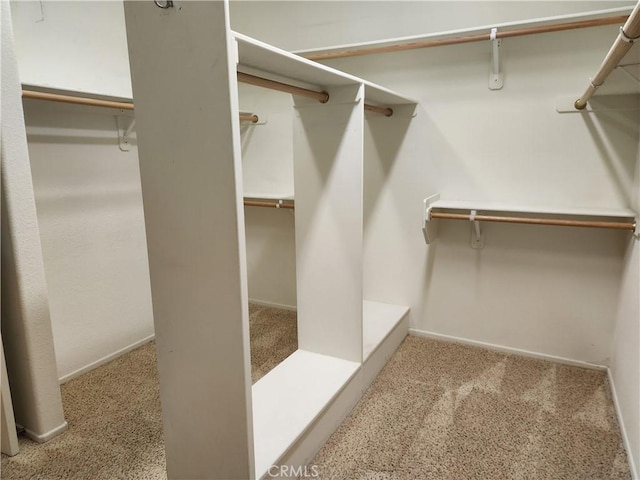 spacious closet with light colored carpet