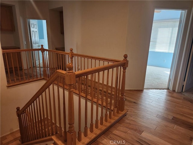 staircase with wood finished floors and baseboards