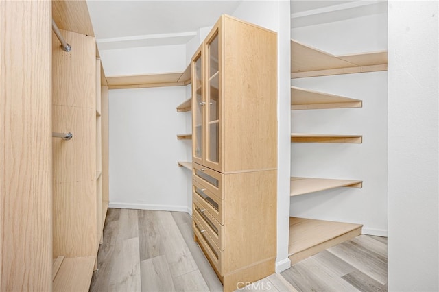 walk in closet featuring wood finished floors