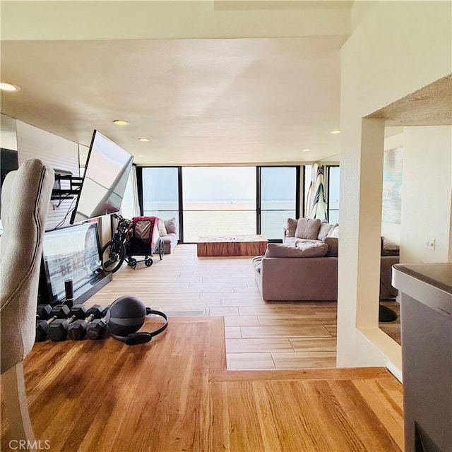 living room featuring a wall of windows and wood finished floors