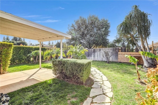 view of yard with a patio area and a fenced backyard