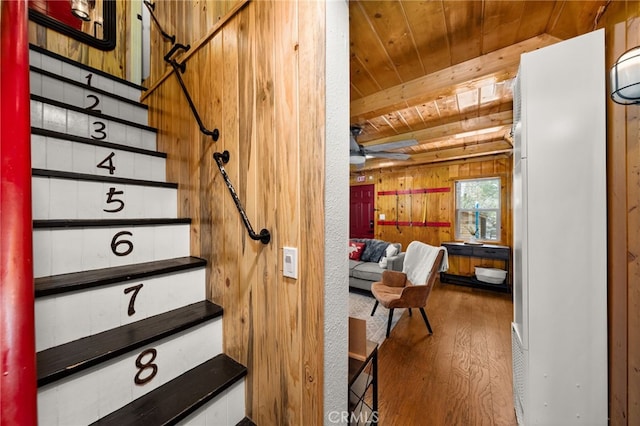 staircase with wooden walls, beam ceiling, wooden ceiling, wood finished floors, and a ceiling fan