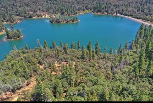 drone / aerial view featuring a forest view and a water view