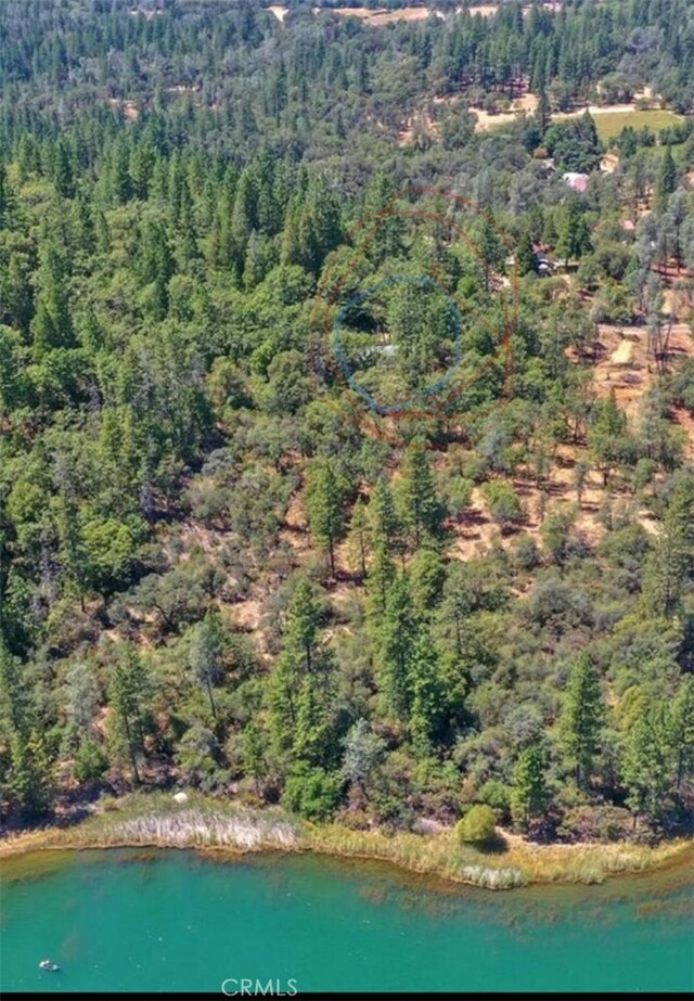 birds eye view of property featuring a water view and a wooded view
