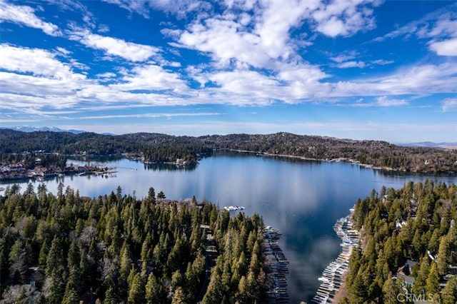 28622 Shenandoah Dr, Lake Arrowhead, CA 92352 - water view with a heavily wooded area and a mountainous background