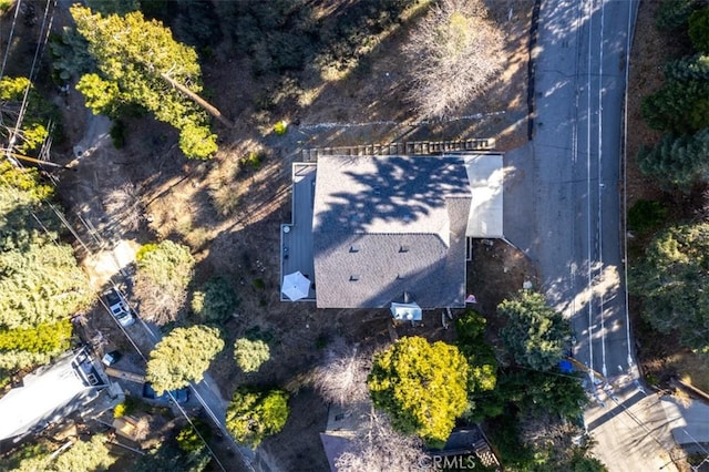 28622 Shenandoah Dr, Lake Arrowhead, CA 92352 - aerial view of property's location