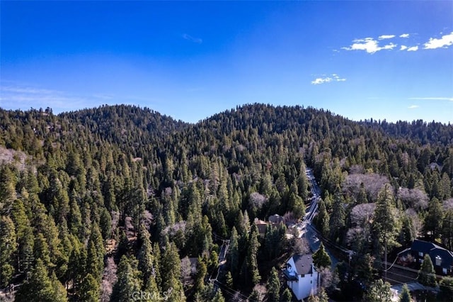 28622 Shenandoah Dr, Lake Arrowhead, CA 92352 - view of mountain background with a heavily wooded area