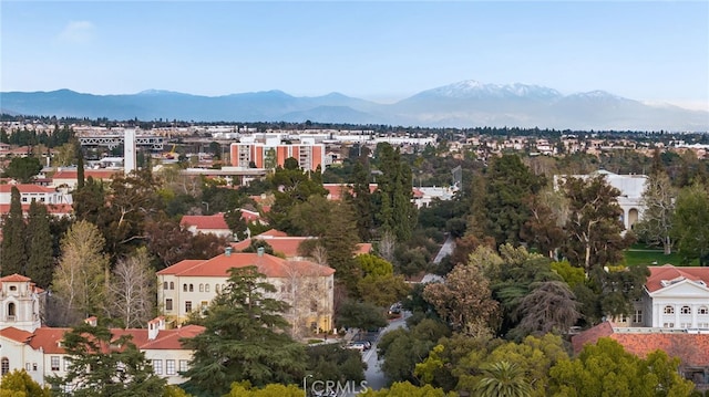 drone / aerial view featuring a mountain view