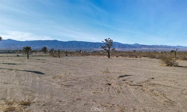 48788 Silver Valley Rd, Newberry Springs CA, 92365 land for sale