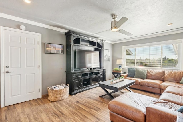 living area featuring a textured ceiling, ceiling fan, ornamental molding, and wood finished floors