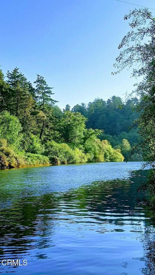 water view featuring a forest view