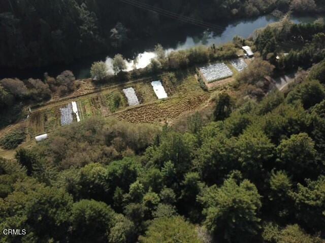 aerial view featuring a water view and a view of trees