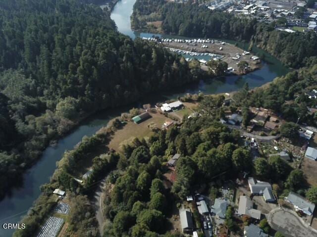 birds eye view of property with a water view and a view of trees