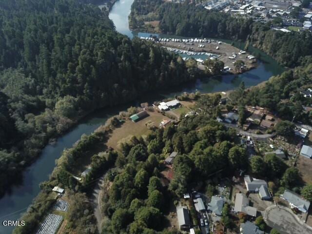 aerial view with a water view and a view of trees