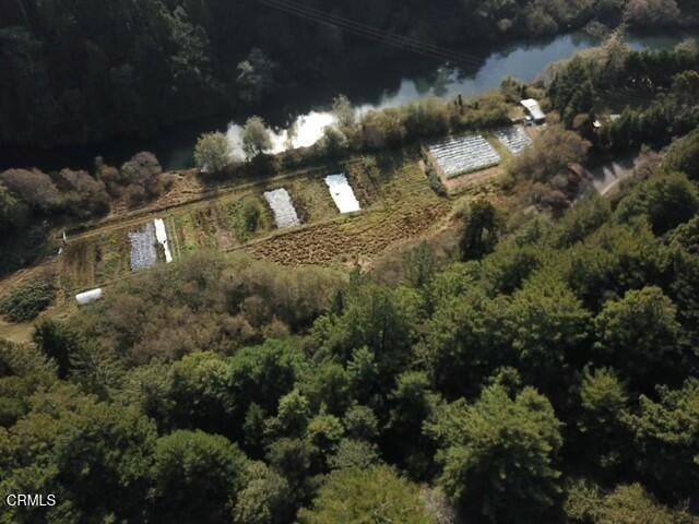 bird's eye view with a view of trees and a water view