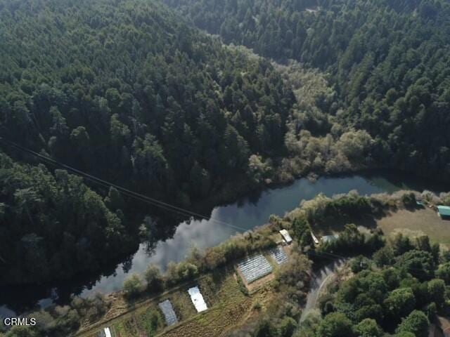drone / aerial view with a view of trees and a water view