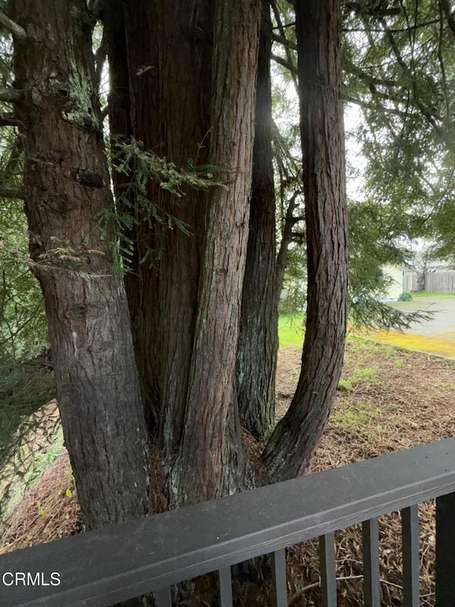 596 S Sanderson Way, Fort Bragg, CA 95437 - photo 45