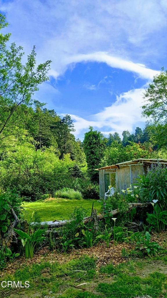 596 S Sanderson Way, Fort Bragg, CA 95437 - photo 4