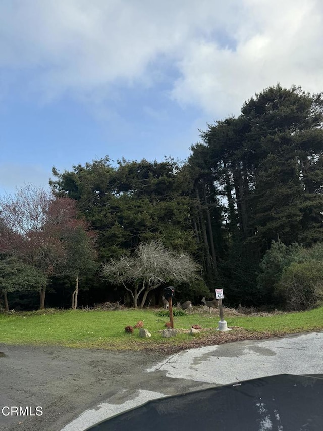 596 S Sanderson Way, Fort Bragg, CA 95437 - photo 47