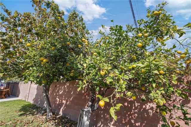 view of yard featuring fence